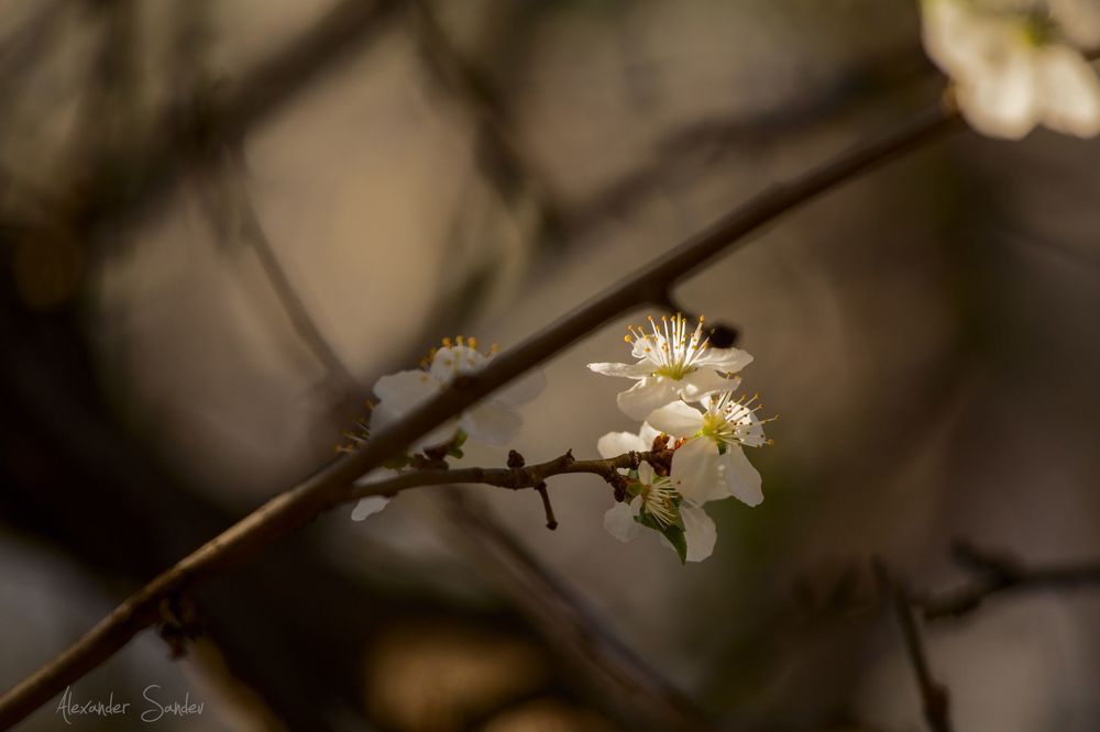Photo 1473946