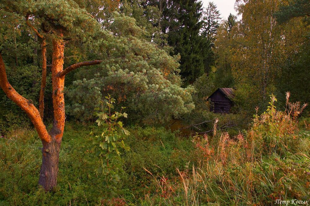 Сентябрь