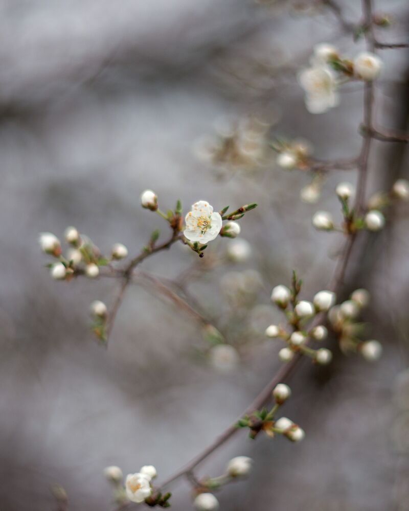 Photo 1474073