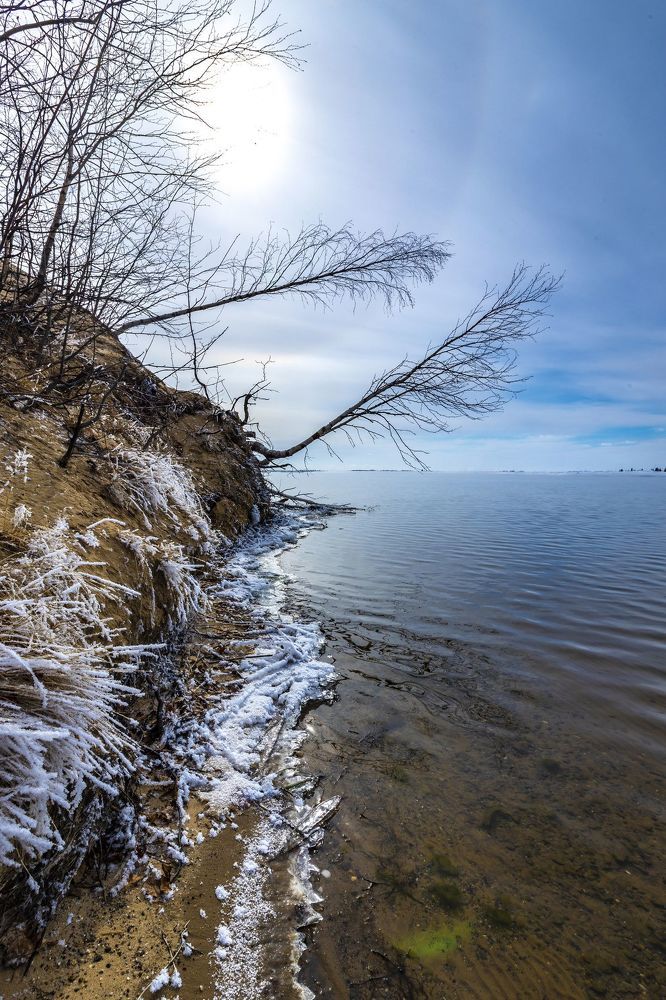 Ночные заморозки