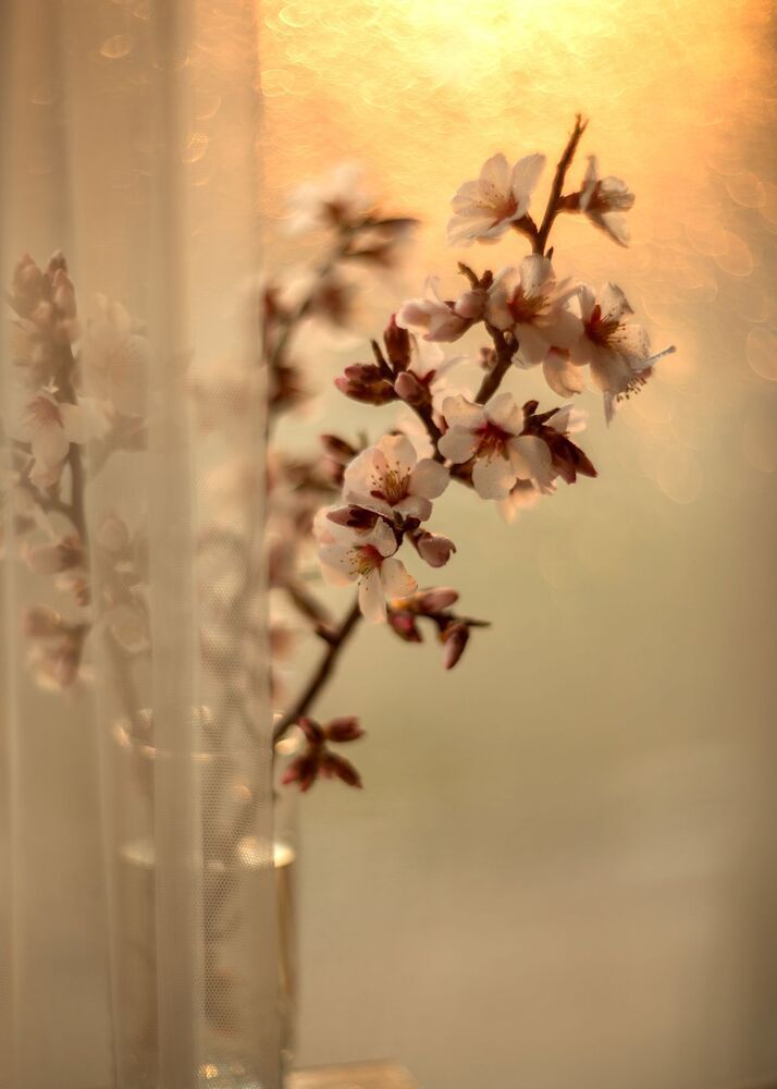 Photo 1475986