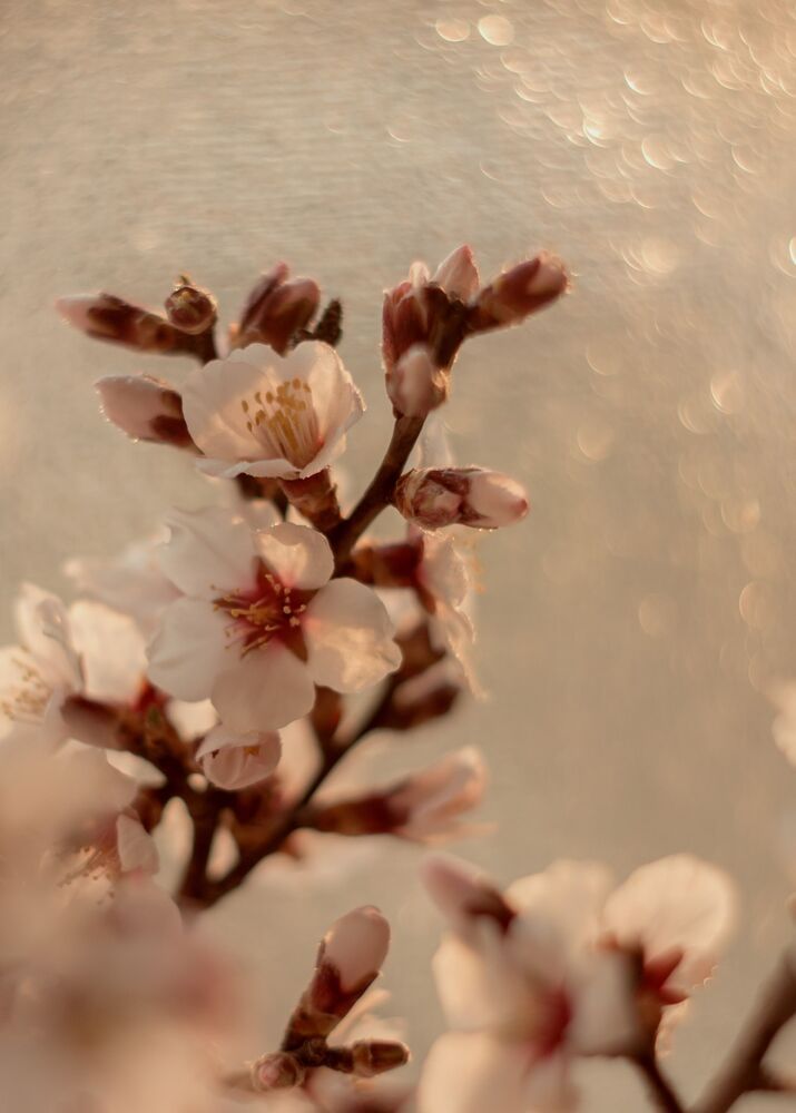 Photo 1475987