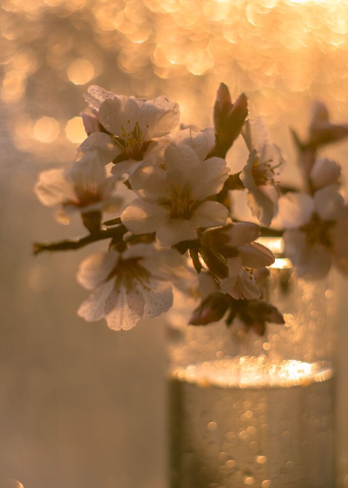 Photo 1475988