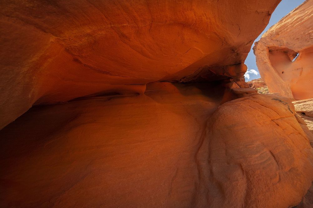 The Salvador Dali worst nightmare Rock