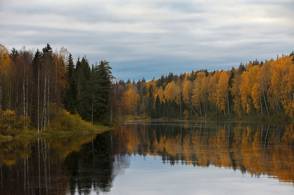Времена года
