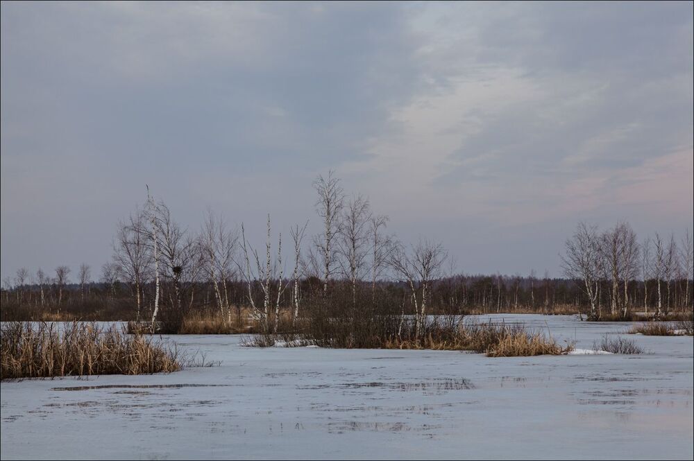 Во время затмения