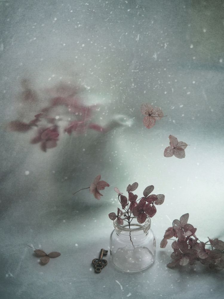 Photo 1476641