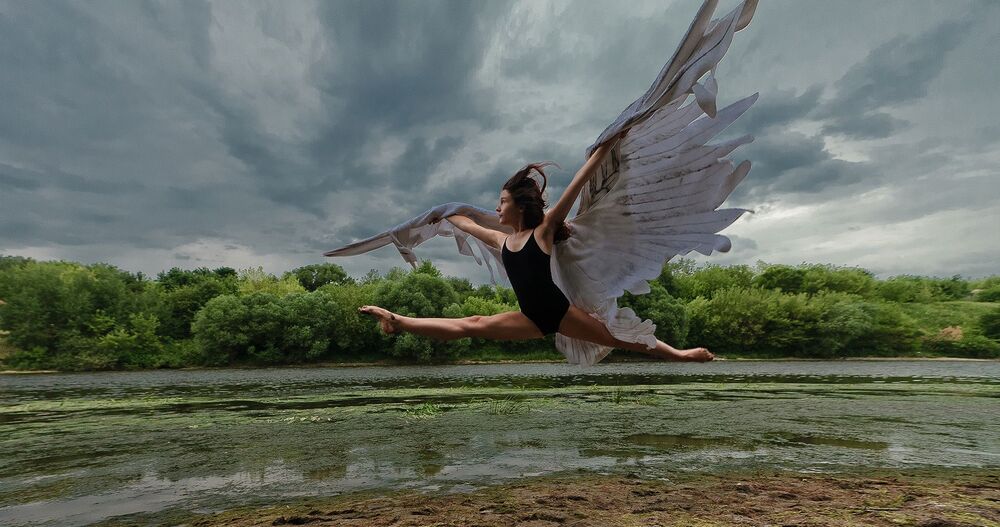 Wing wishes