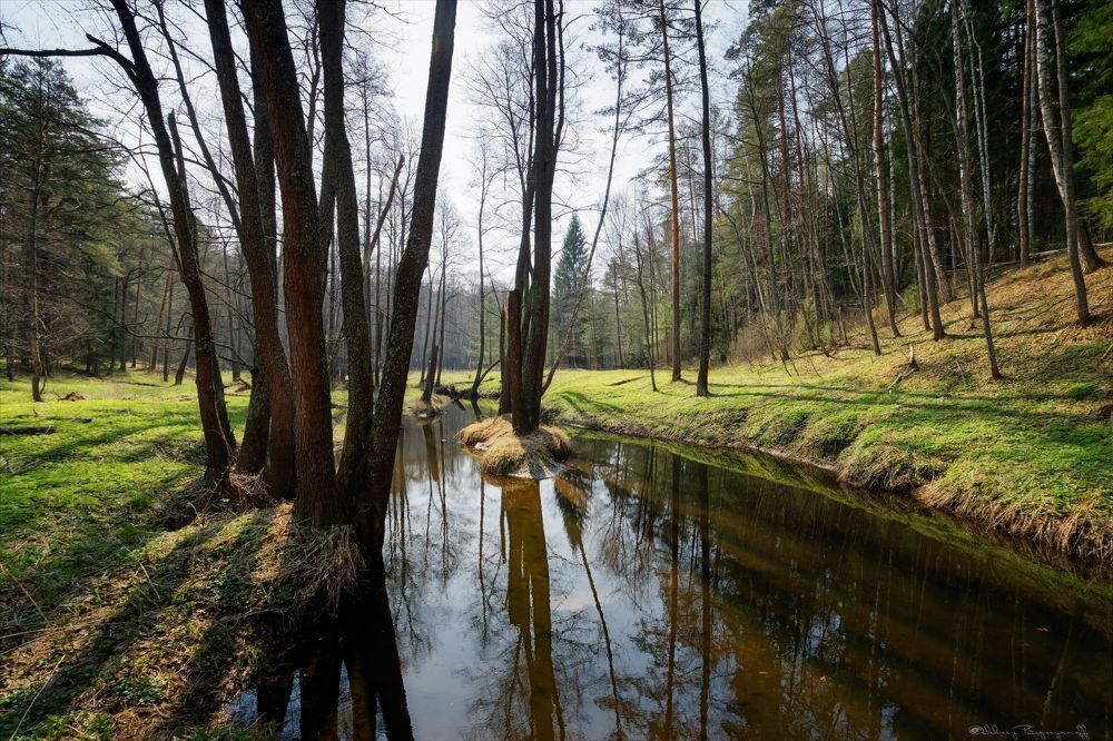 Весна на р.Ремежь.
