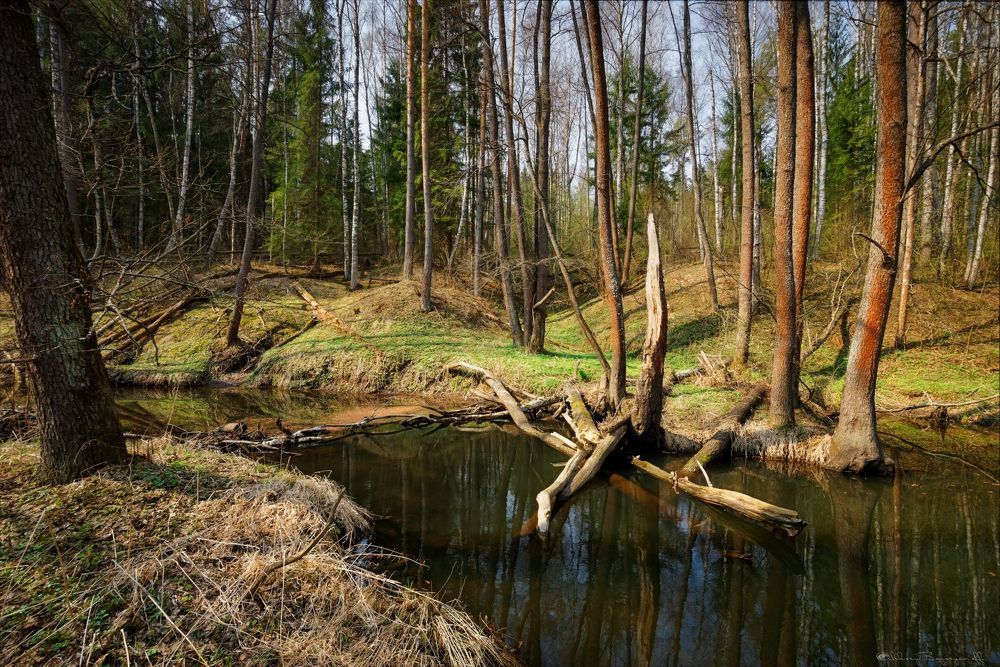 Весна на р.Ремежь.