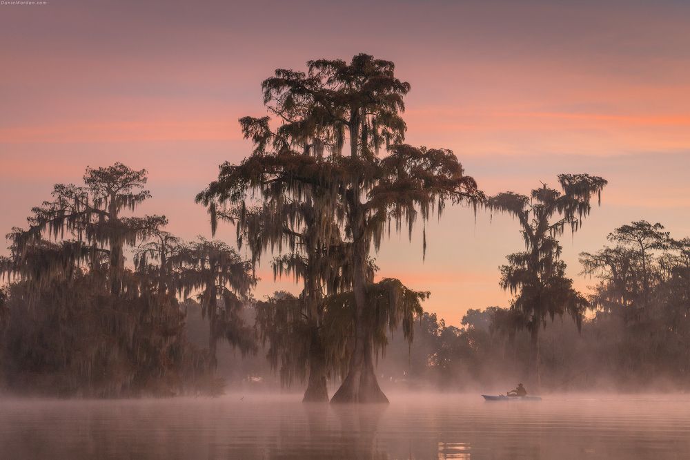 Cypress swamps