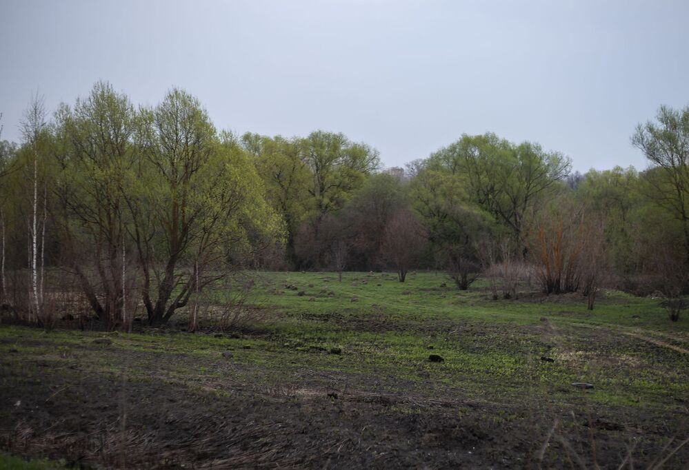Outskirts of Tula