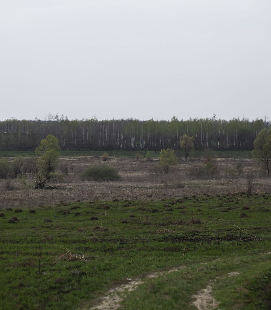 Outskirts of Tula