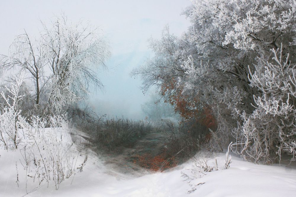 Осень и Зима