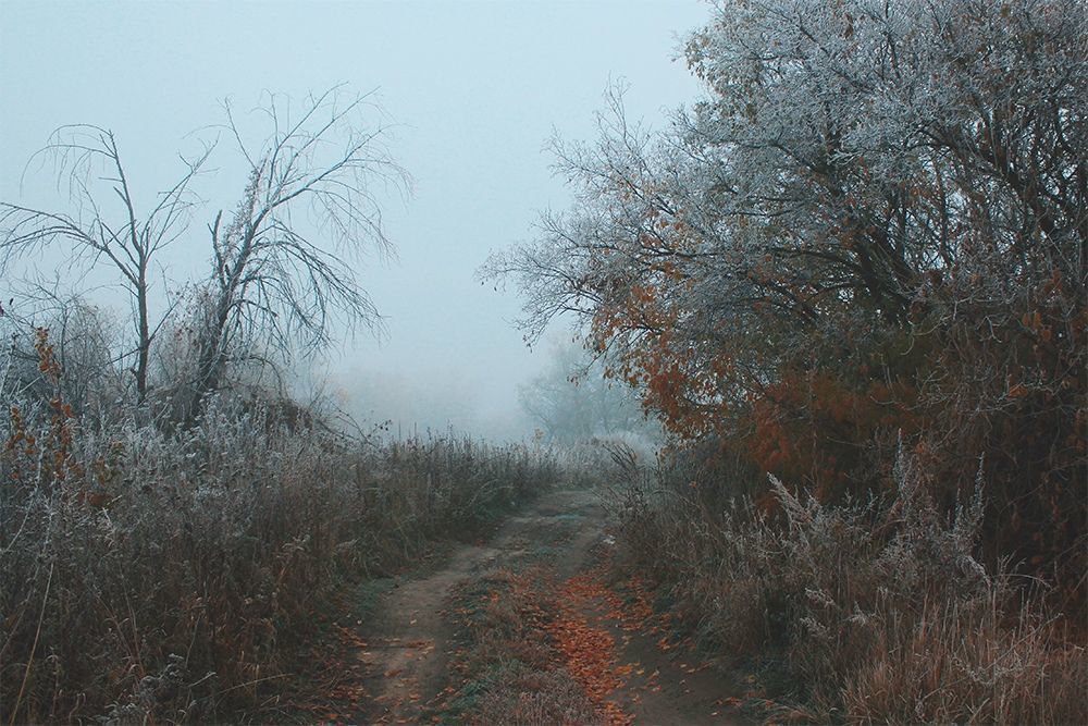 Осень и Зима