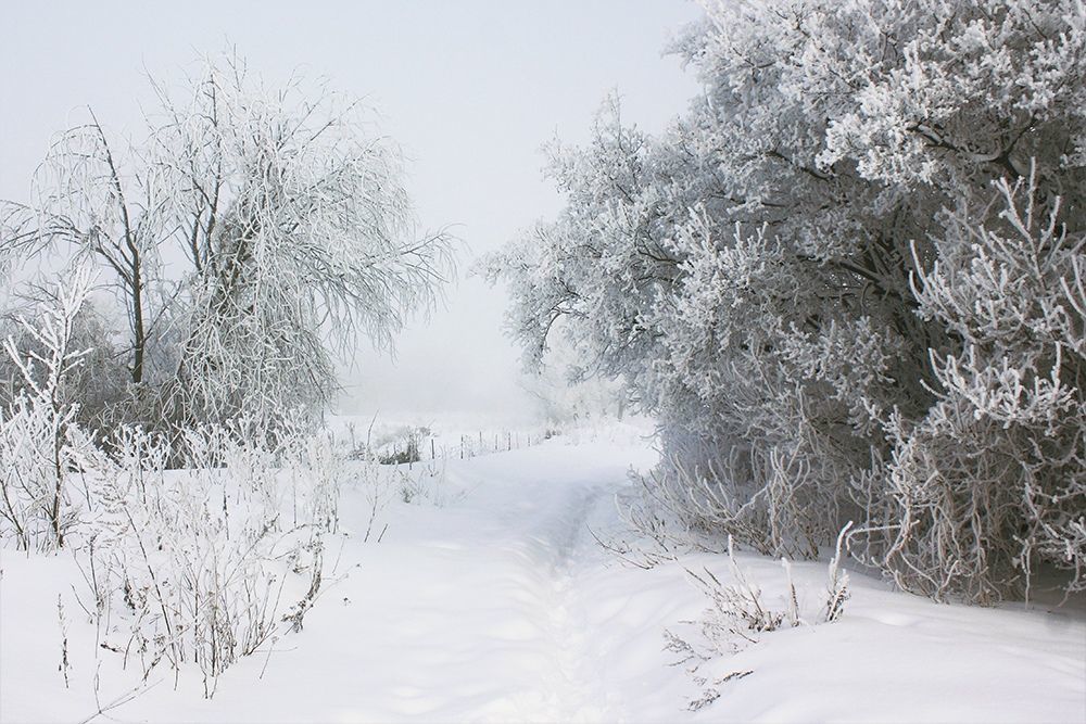 Осень и Зима