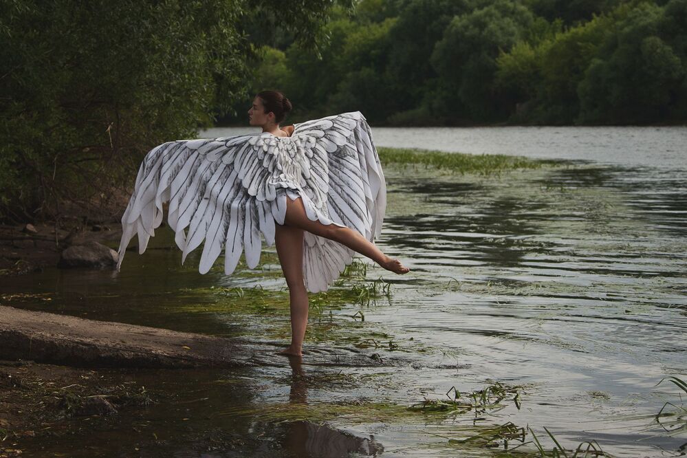 Wing wishes