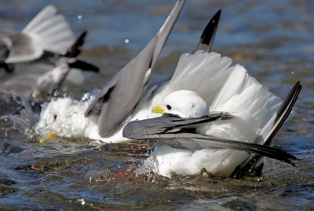 Водные процедуры