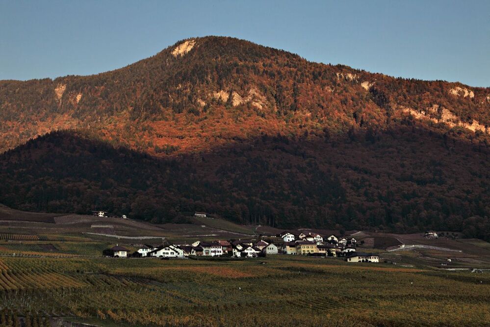 Виноградная Осень