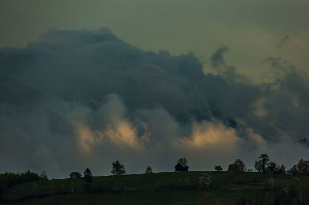 Spring after the storm.