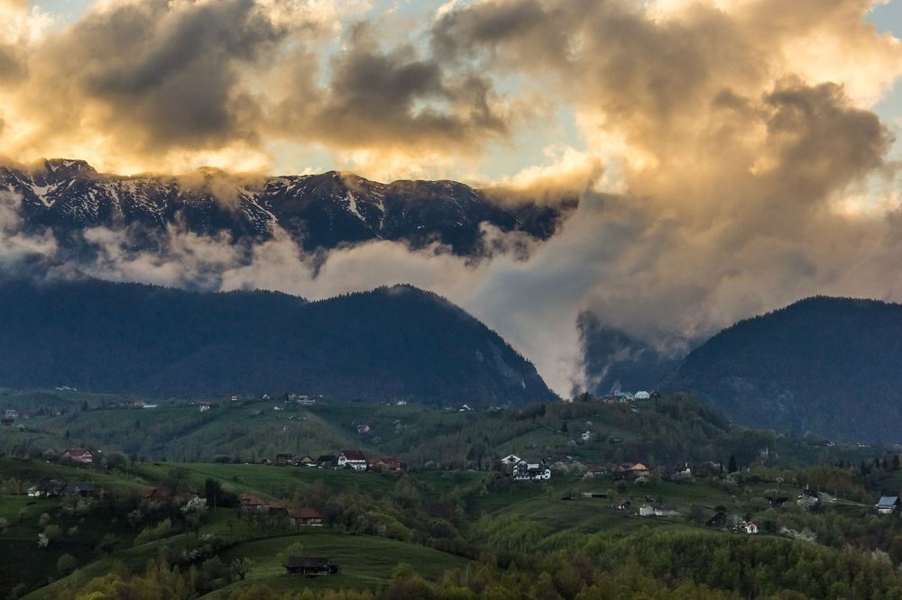Spring after the storm.