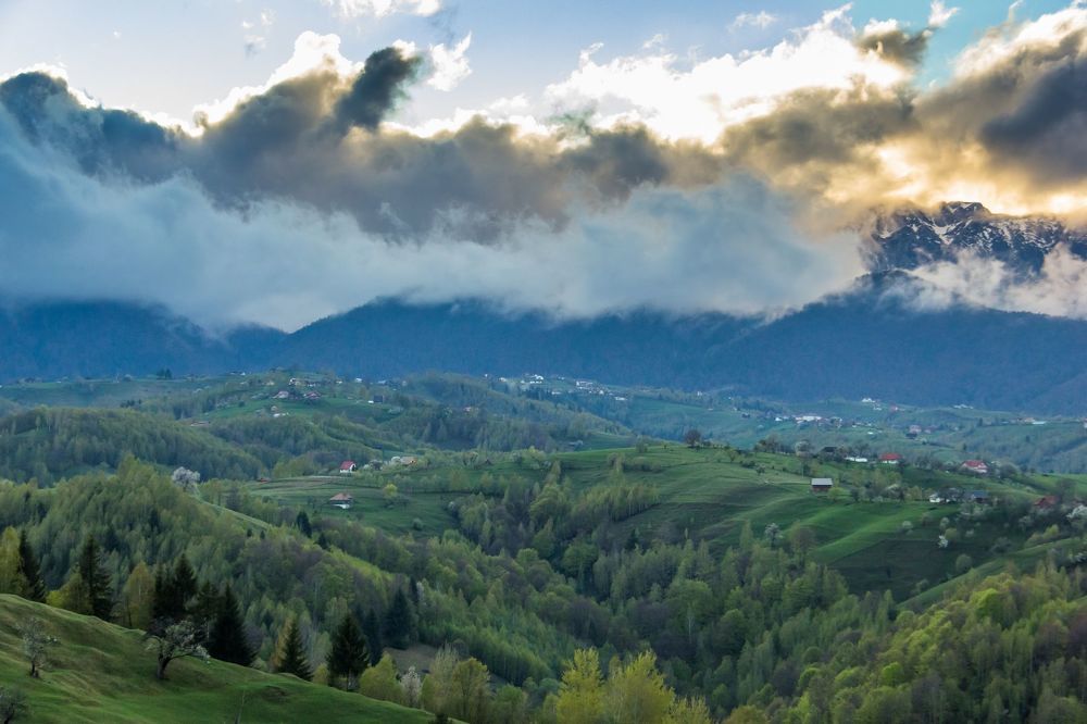 Spring after the storm.