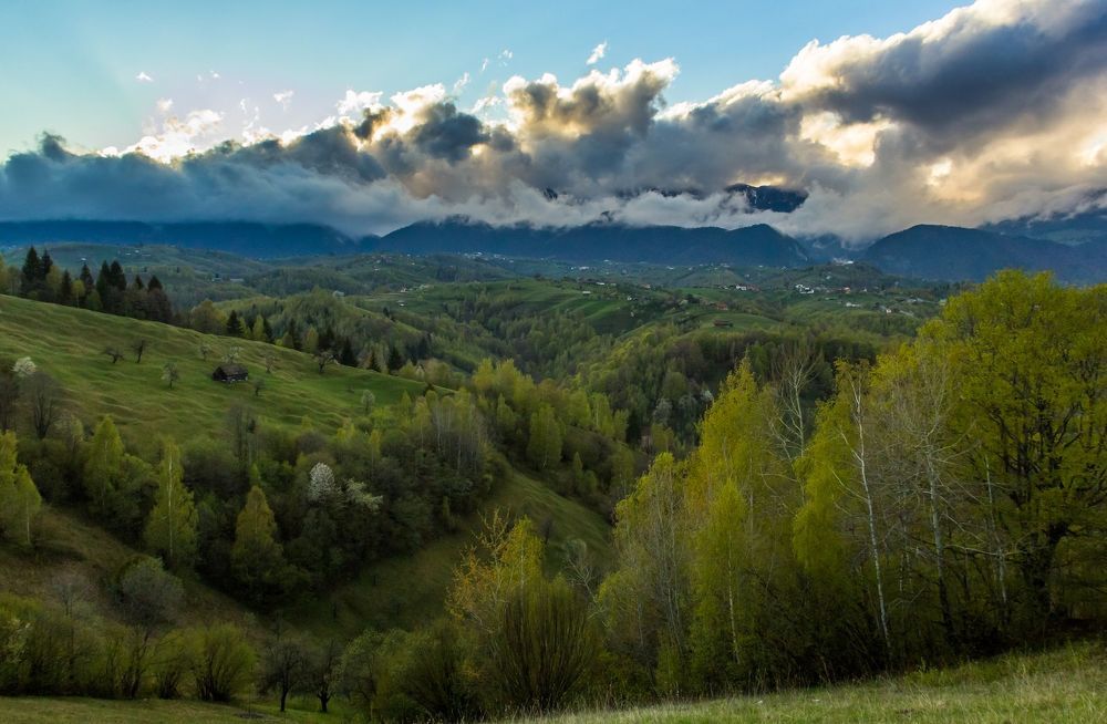 Spring after the storm.
