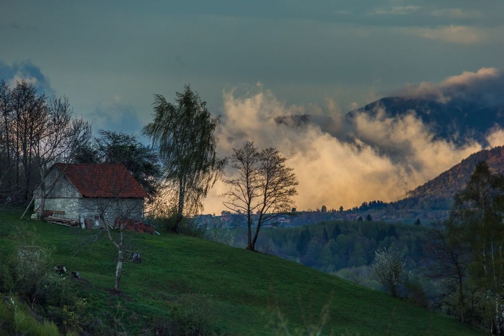 Spring after the storm.