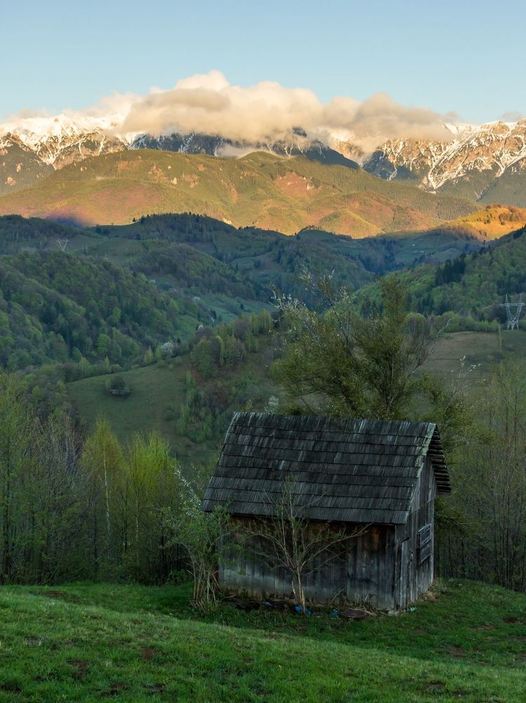 Spring after the storm.
