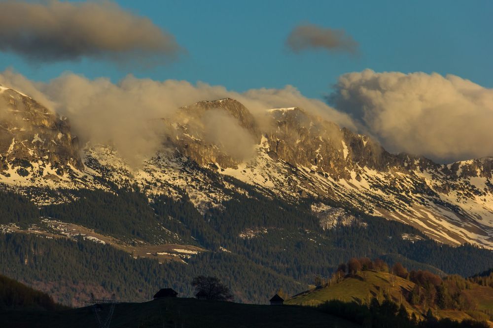 Spring after the storm.