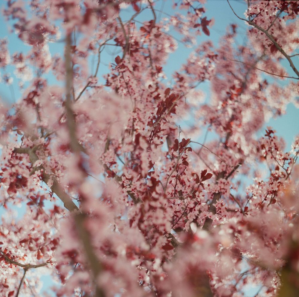 Photo 1480314