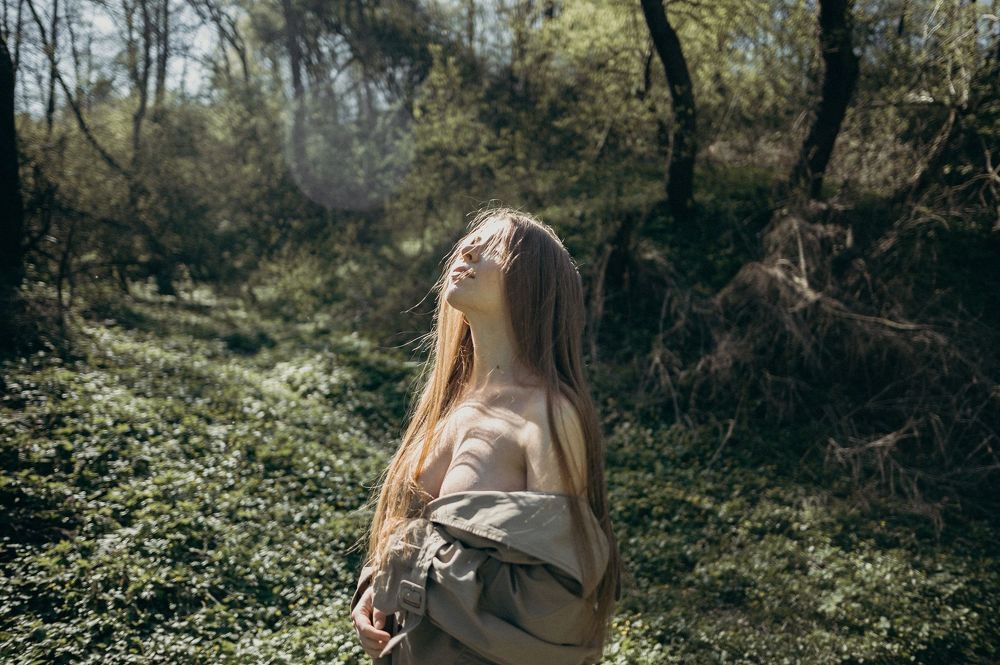 Photo 1481068