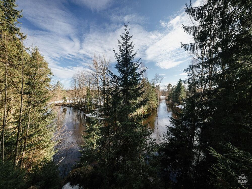 Весна в лесу