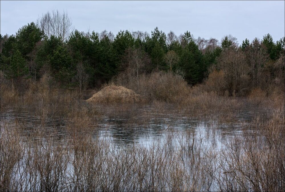 Половодье замёрзло