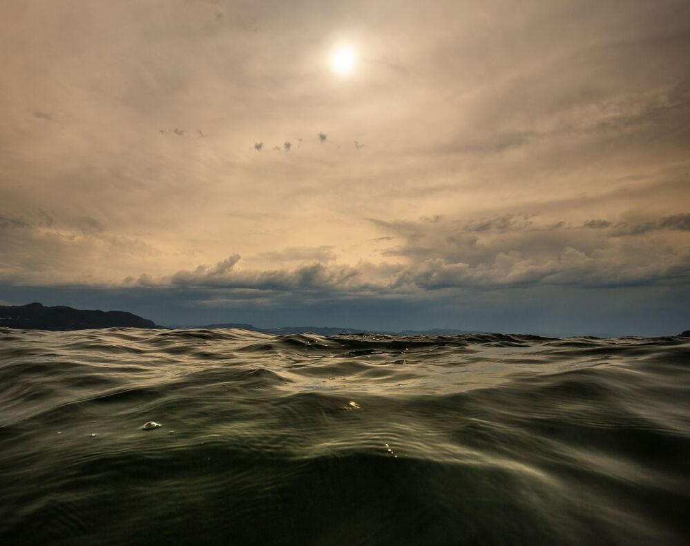 Swimming with the waves...