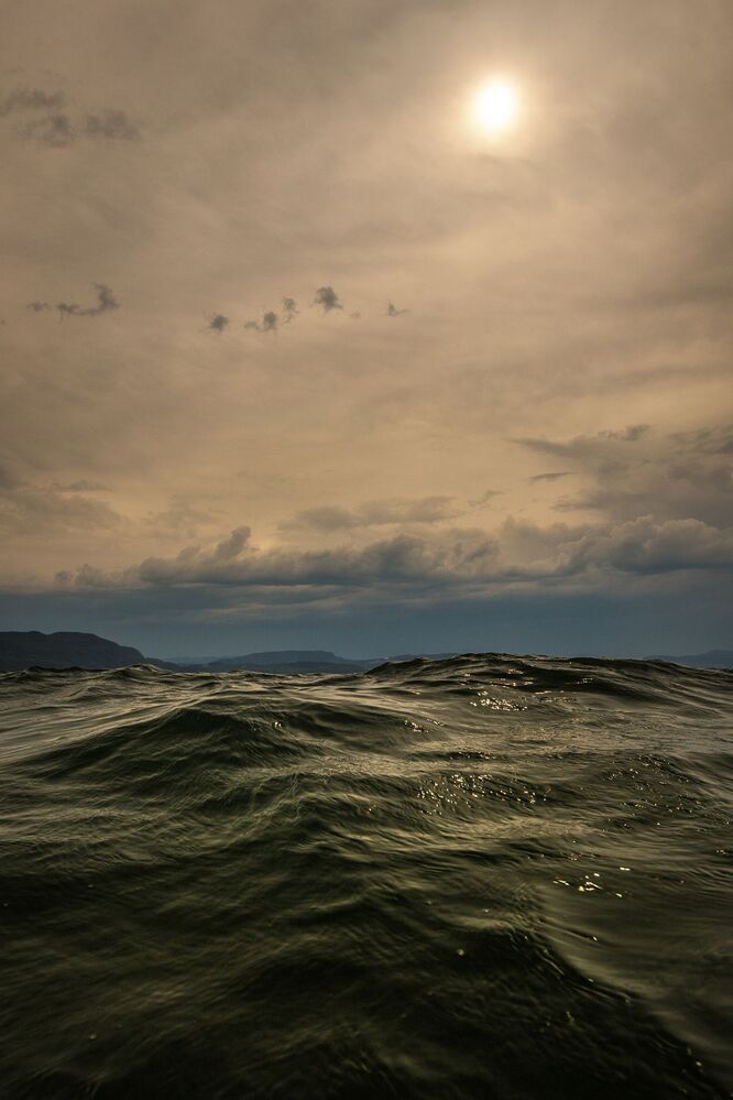 Swimming with the waves...