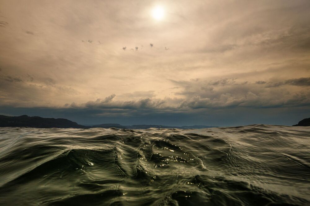 Swimming with the waves...