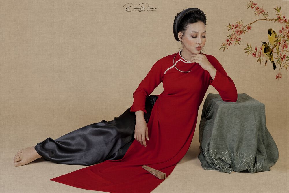 #Aodai #Painting