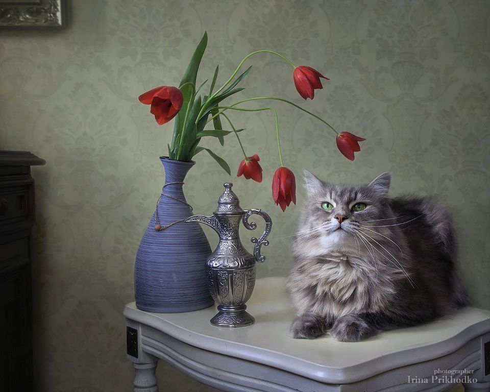 - Ну вот, допелась: микрофон сломался!