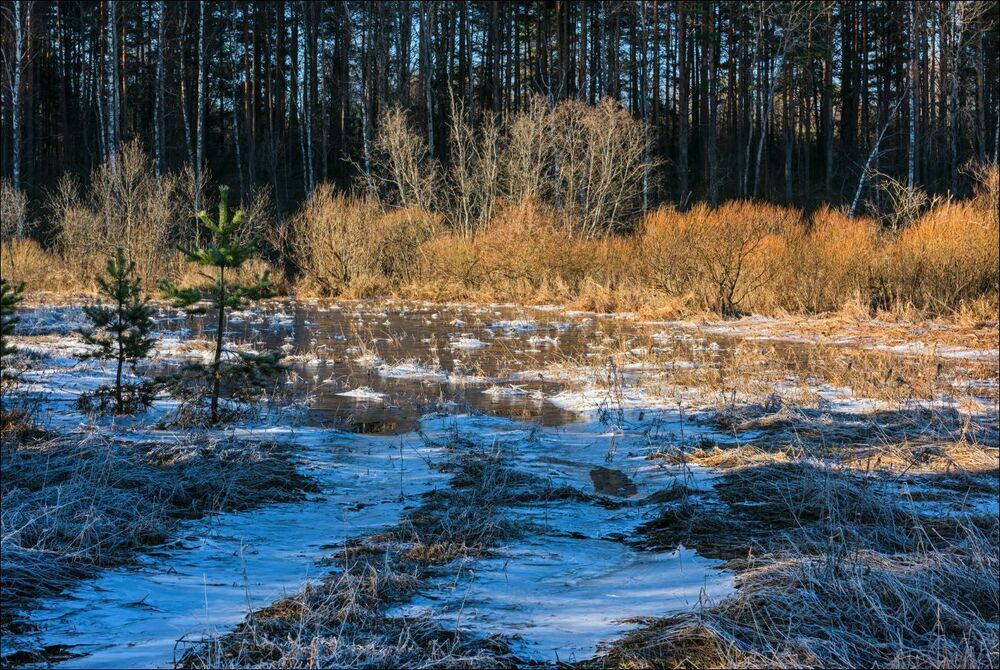 Красоты подмороженого утра