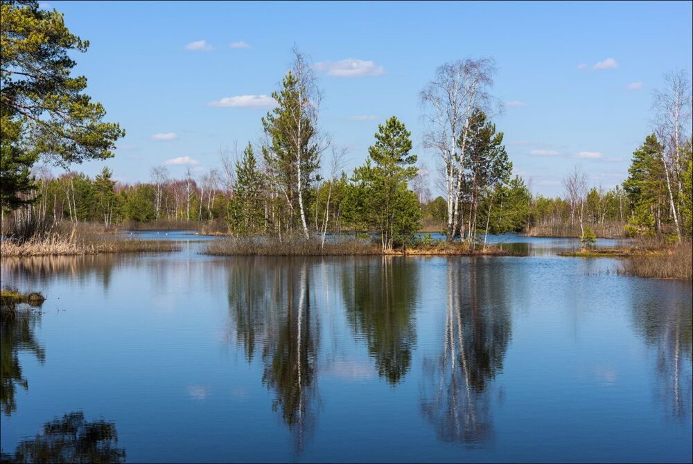 В апреле на торфяниках