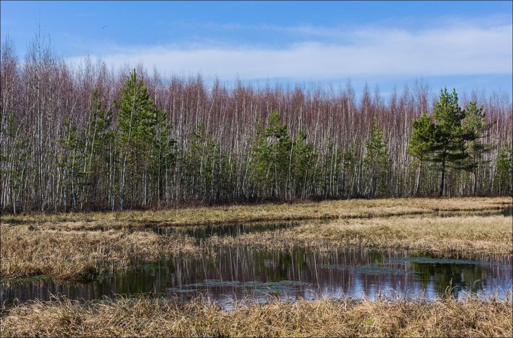 Краски апреля