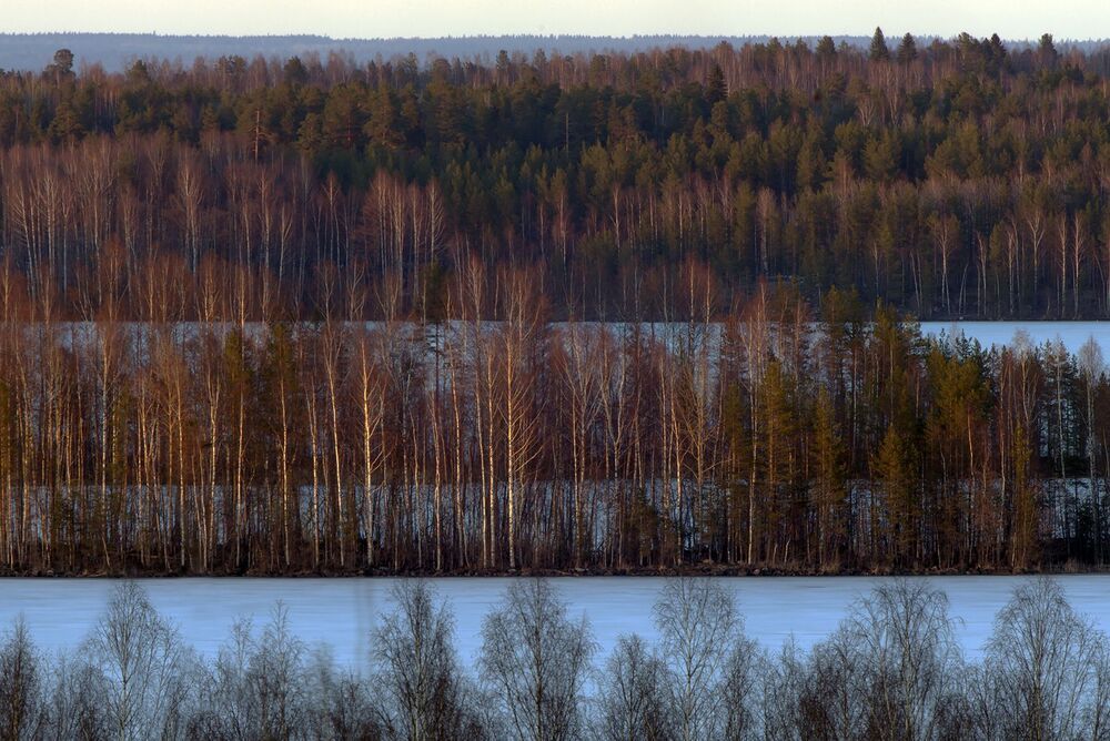в конце Апреля