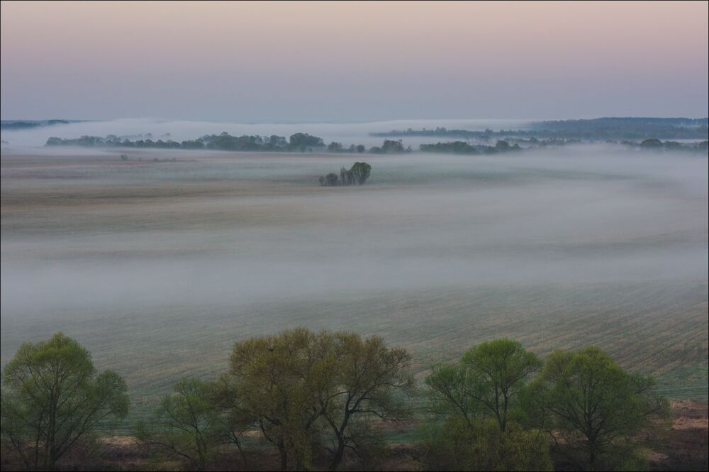 Потянуло кольцами туман