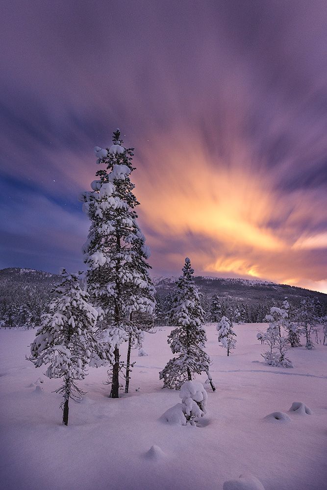Winter night magic