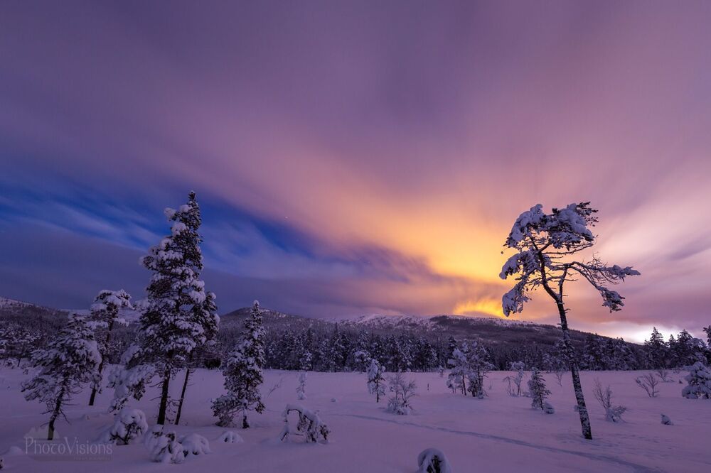 Winter night magic