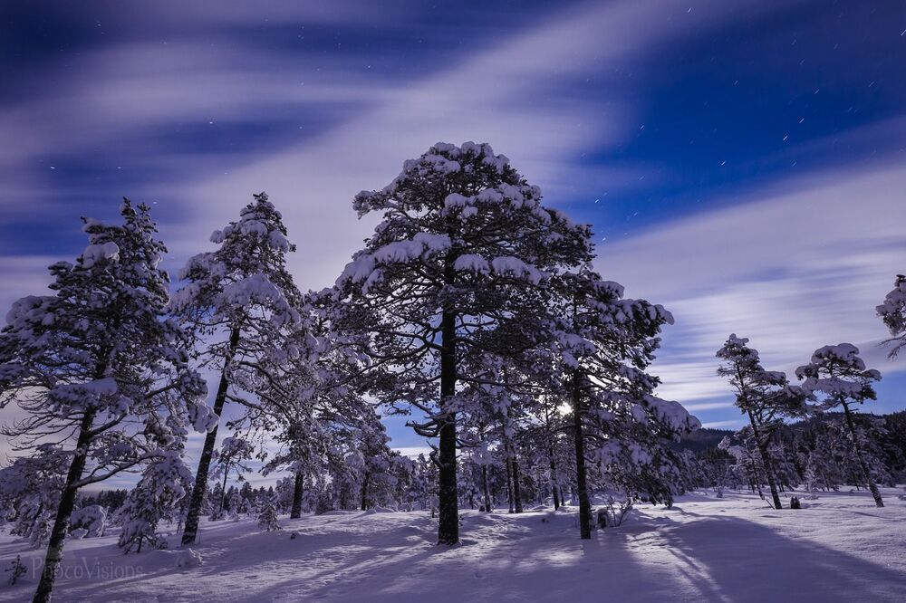 Winter night magic