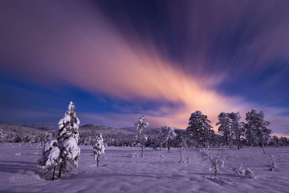 Winter night magic