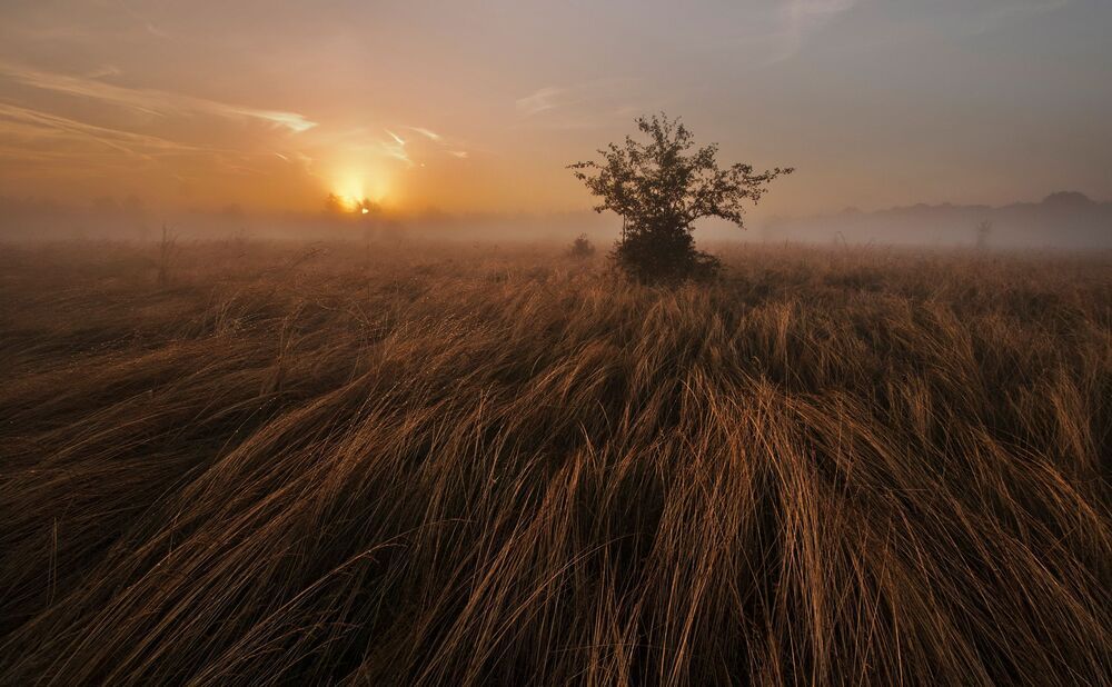 Notification Marcin Grzegorczyn
