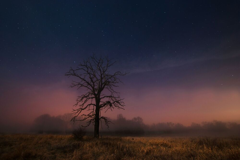 Notification Marcin Grzegorczyn